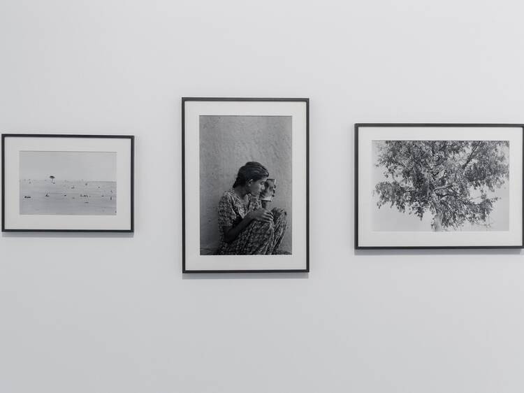 Prix Pictet Human