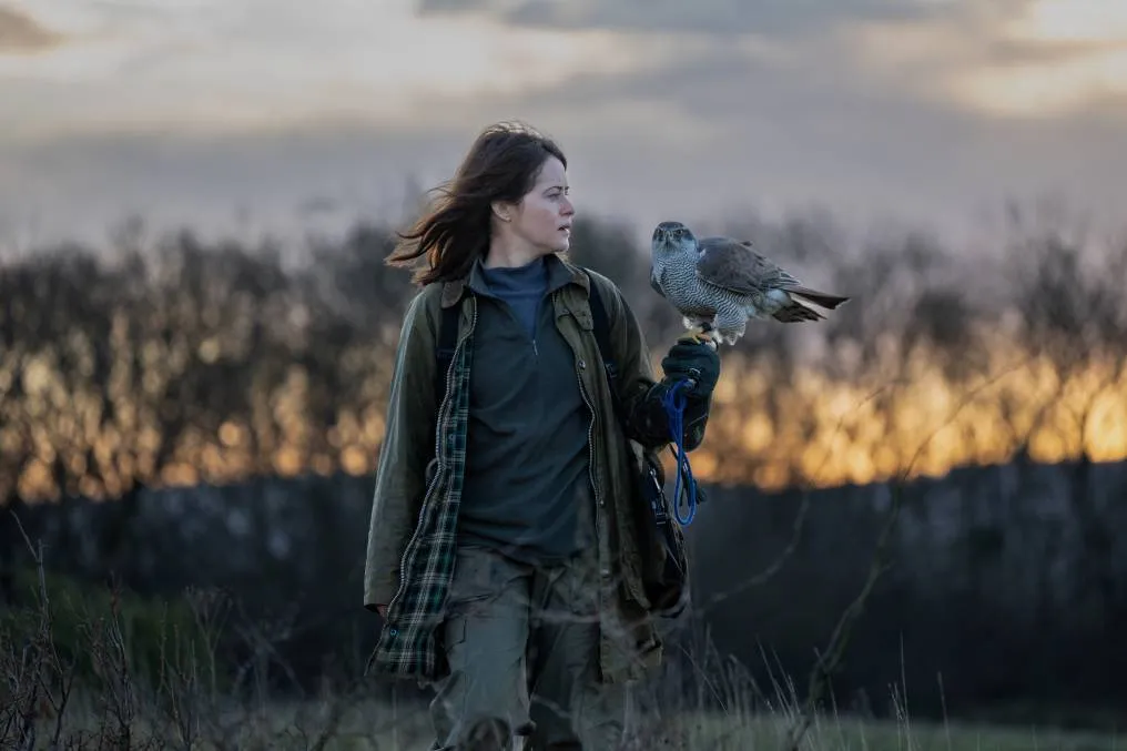 H is for Hawk