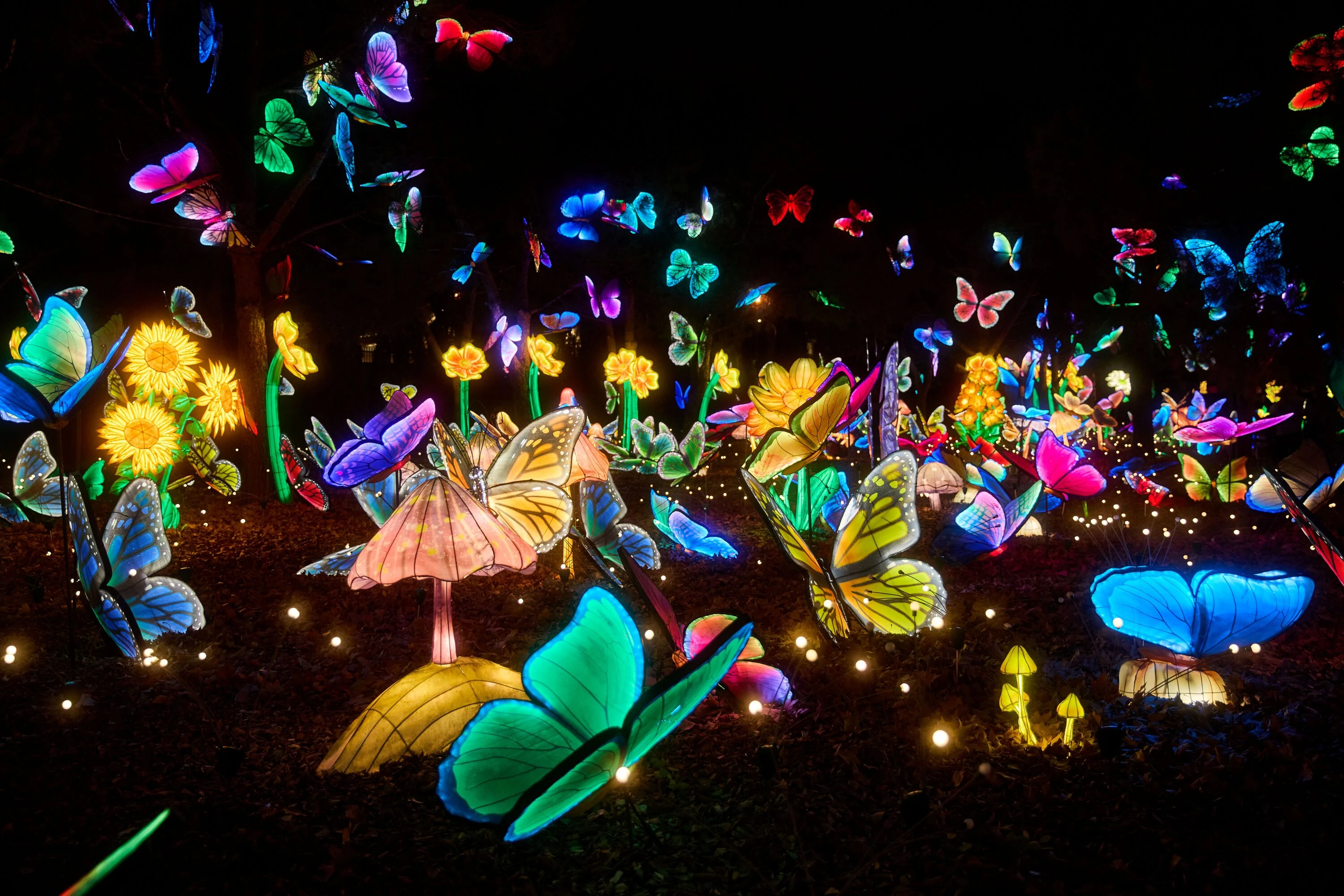 M&aacute;gicas Navidades. &copy;Roberto Sastre