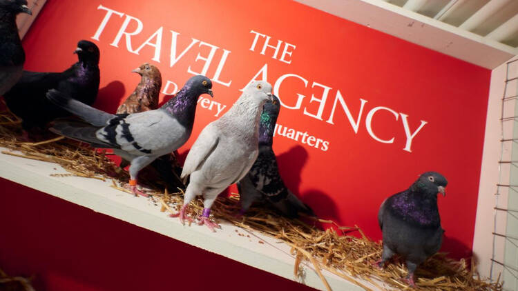 travel agency