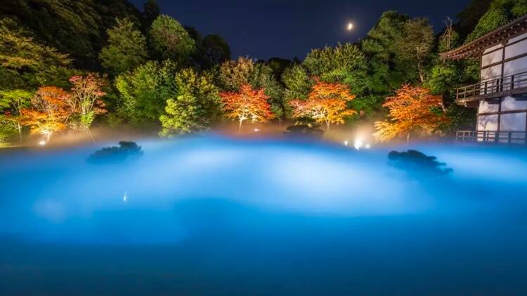 ZEN NIGHT WALK KAMAKURA ZEN NIGHT WALK KAMAKURA