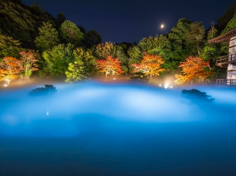 秋の建長寺で「心と脳がととのう」夜間拝観イベントが開催