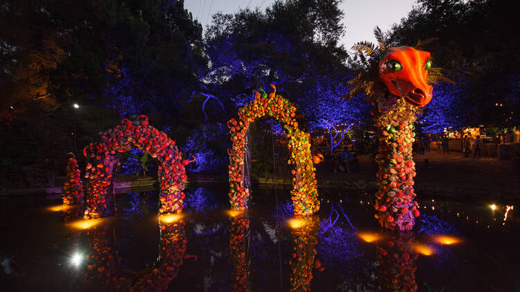 Stroll through SoCal flora at Descanso Gardens