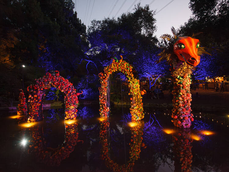 Stroll through SoCal flora at Descanso Gardens