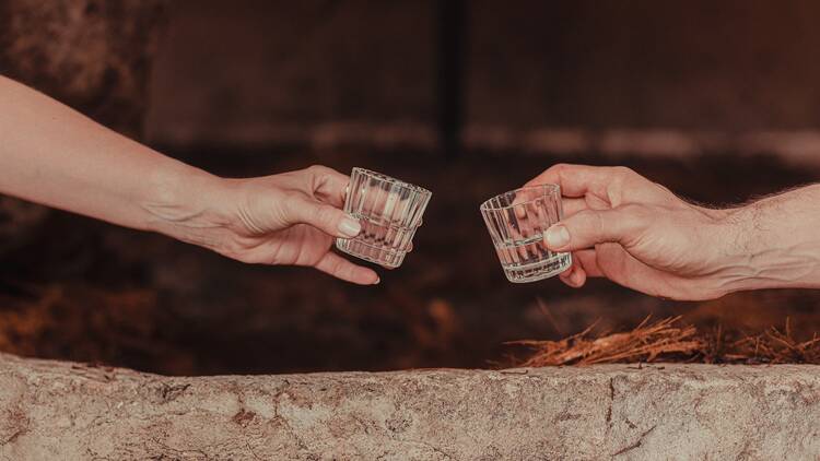 Cheersing shot glasses of sotol