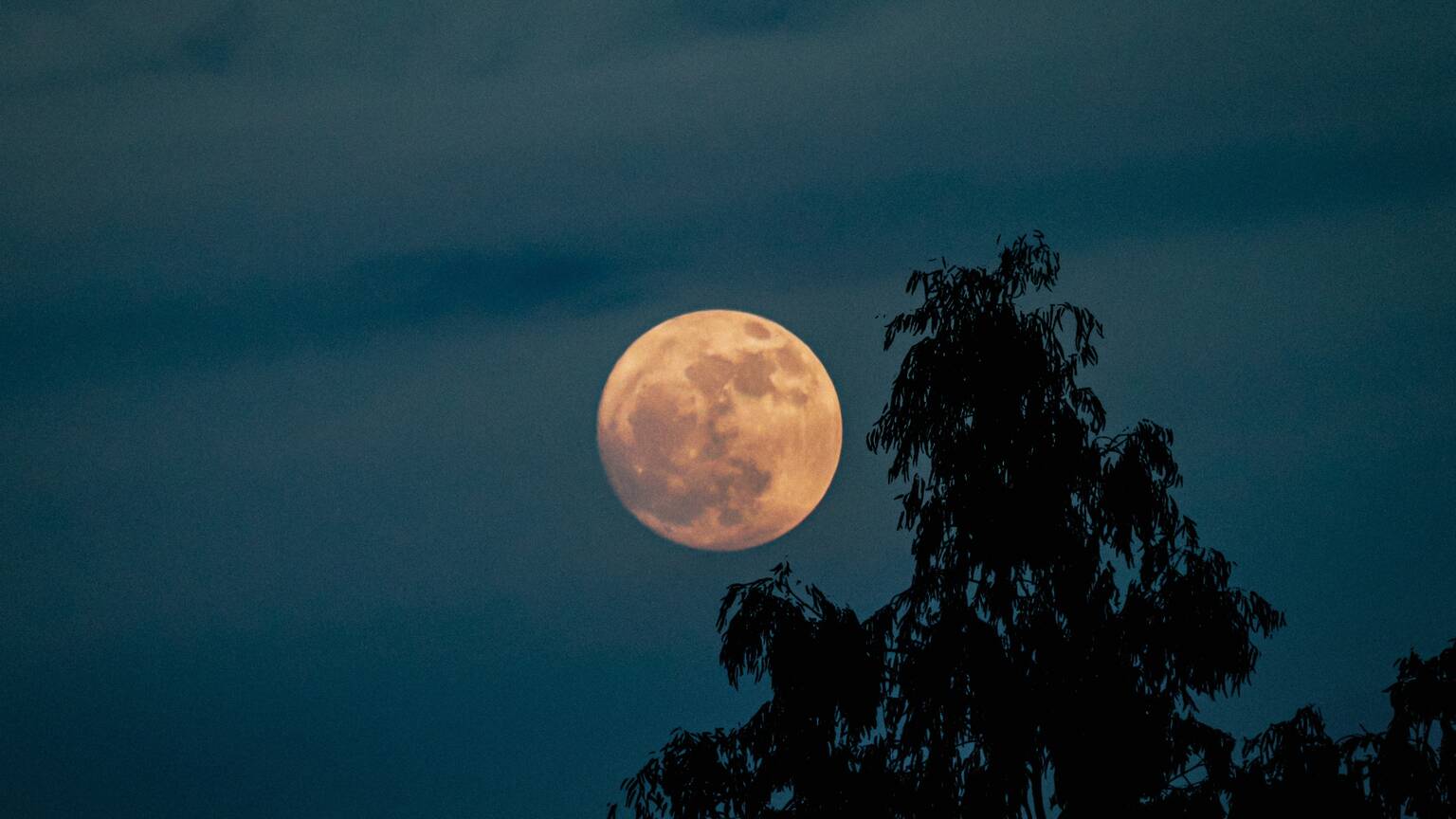 The biggest supermoon of 2025 will rise above Melbourne this week