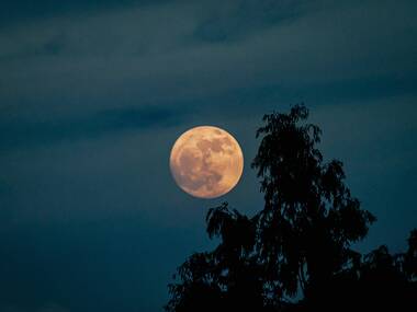 A rare ‘Blood Moon’ will rise over Sydney this March during the total lunar eclipse A rare ‘Blood Moon’ will rise over Sydney this March during the total lunar eclipse