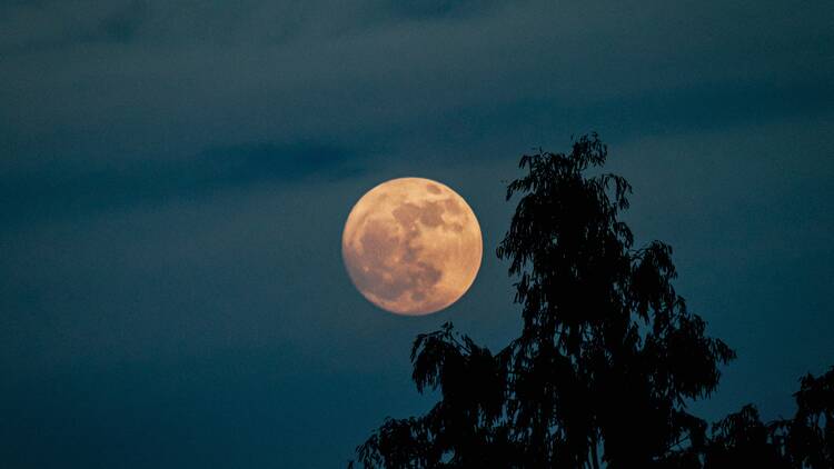 How and when to see the Harvest Supermoon in Montreal tonight