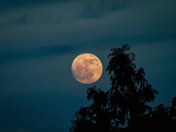 How and when to see the Harvest Supermoon in Montreal tonight