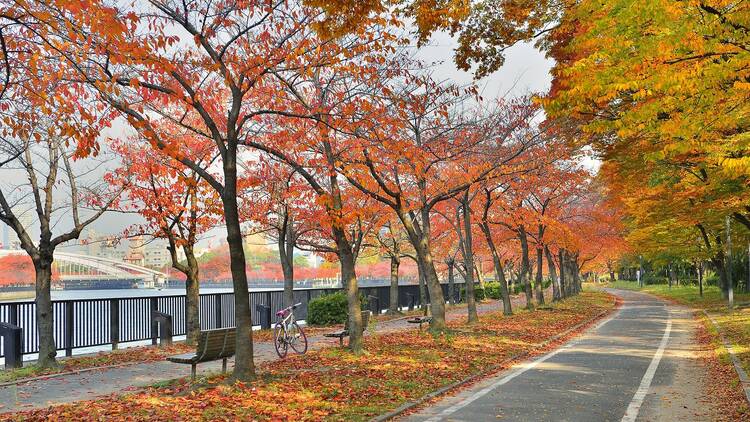 Okawa River