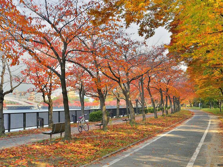 Okawa River