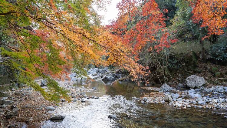 Settsukyo Park