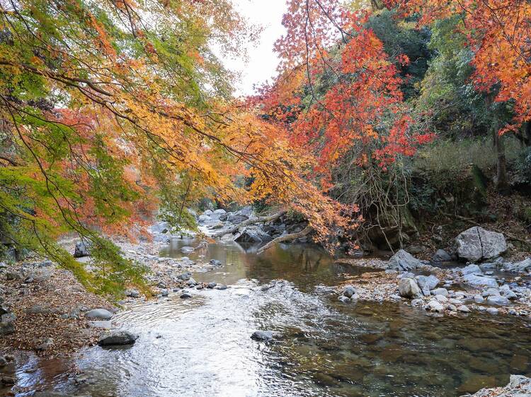 Settsukyo Park