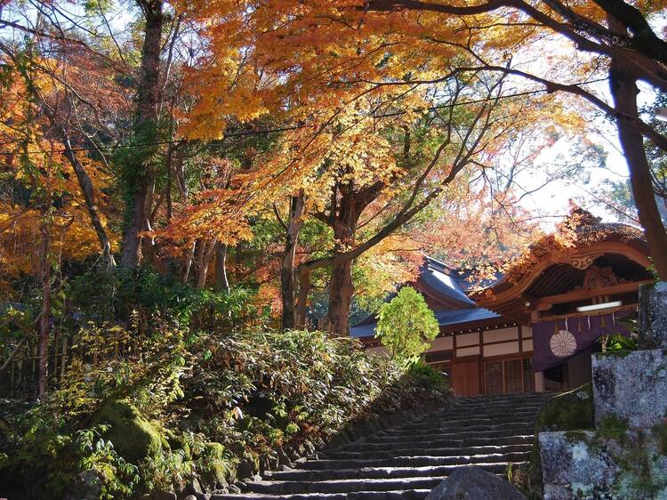 Hiraoka Park