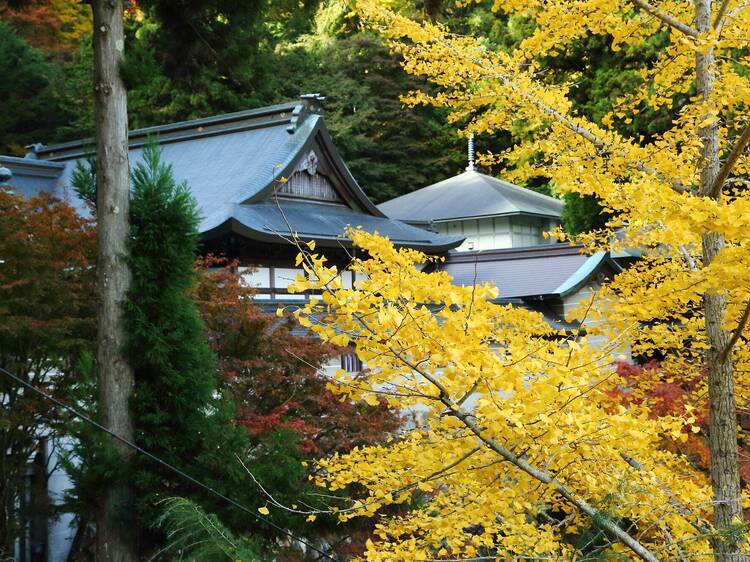 Mt Myoken