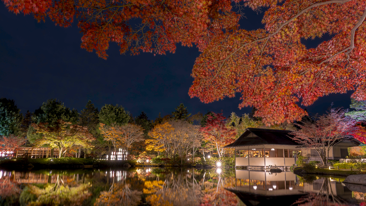 Autumn Night Walk at Showa Kinen Park