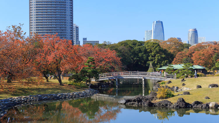 Hama-rikyu Gardens