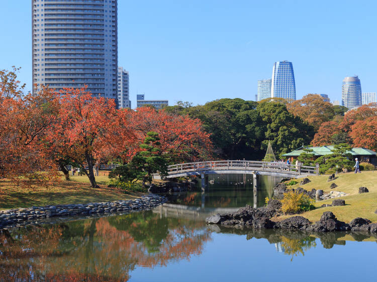 Hama-rikyu Gardens