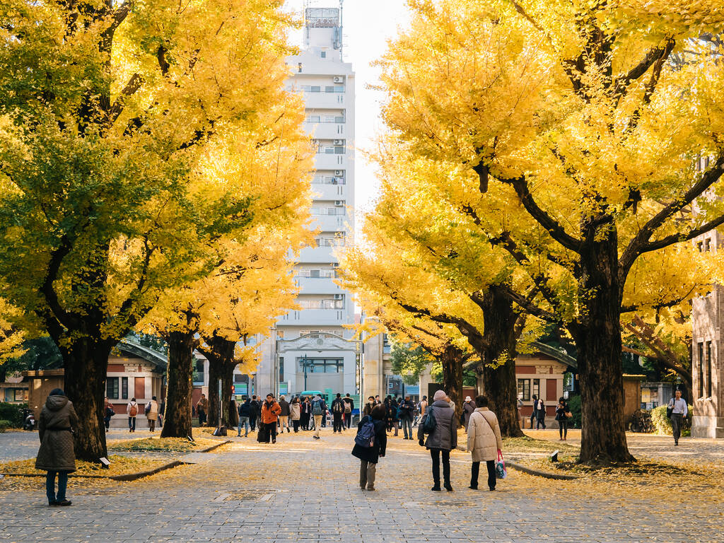 14 best parks, gardens and streets to see the autumn leaves in Tokyo