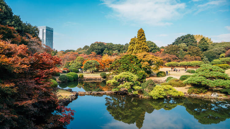 Shinjuku Gyoen National Garden