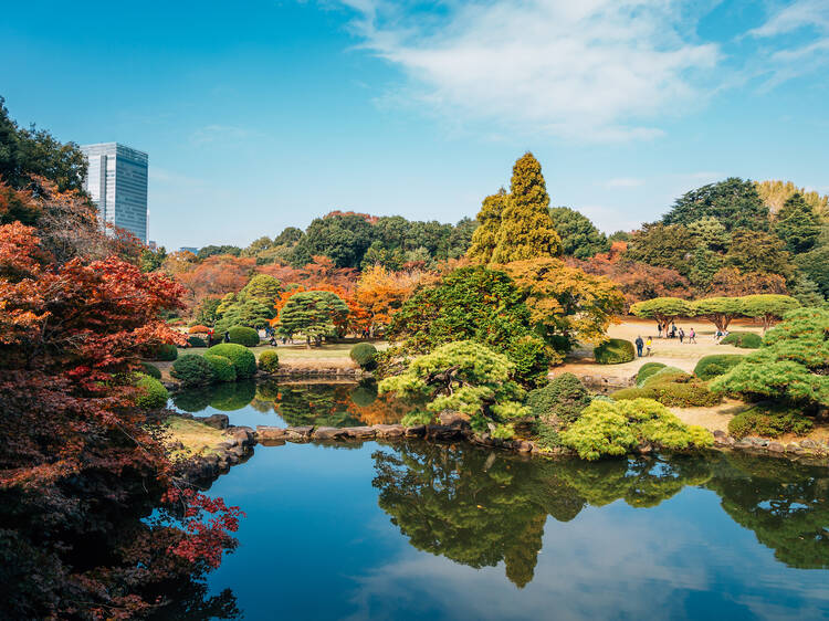 Shinjuku Gyoen National Garden