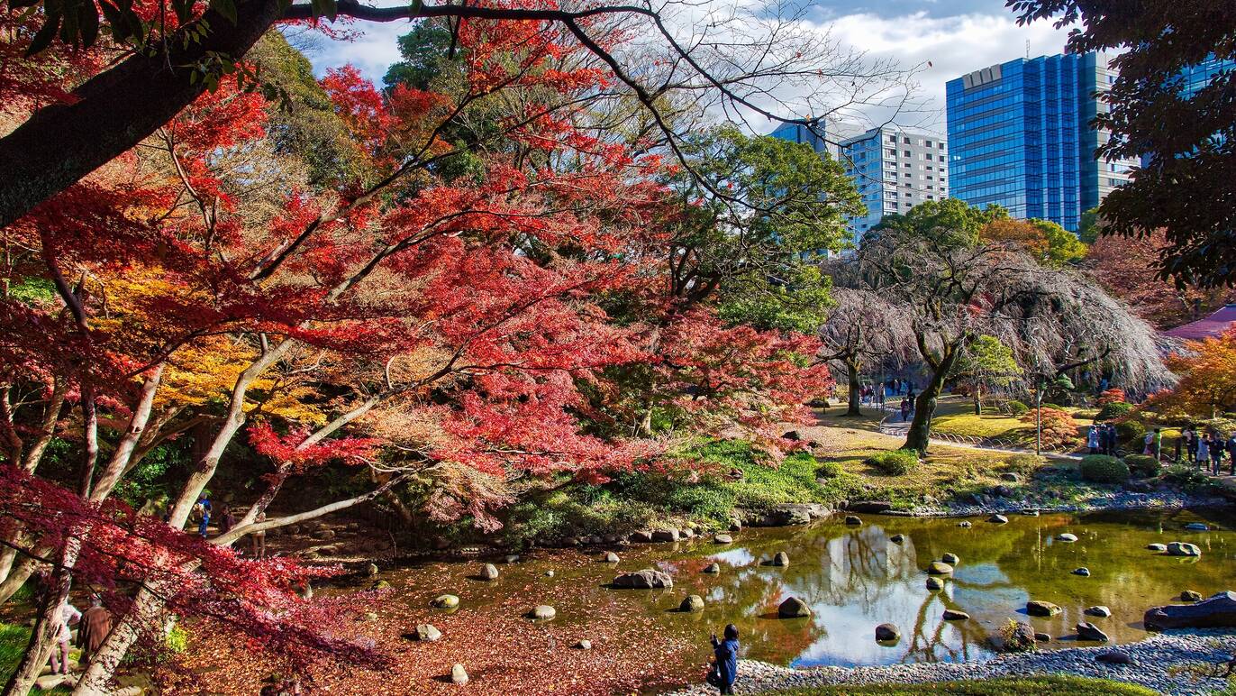 14 best parks, gardens and streets to see the autumn leaves in Tokyo