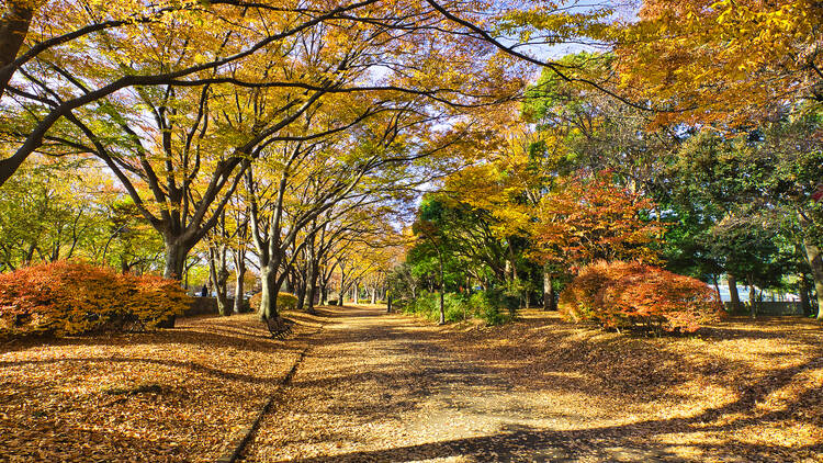 Komazawa Olympic Park