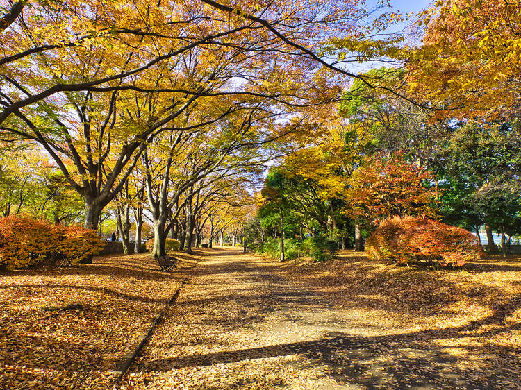 Komazawa Olympic Park