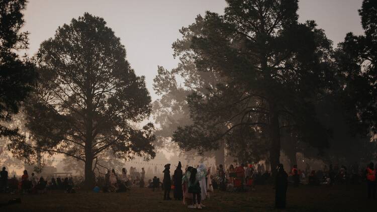 The Haunted Forest
