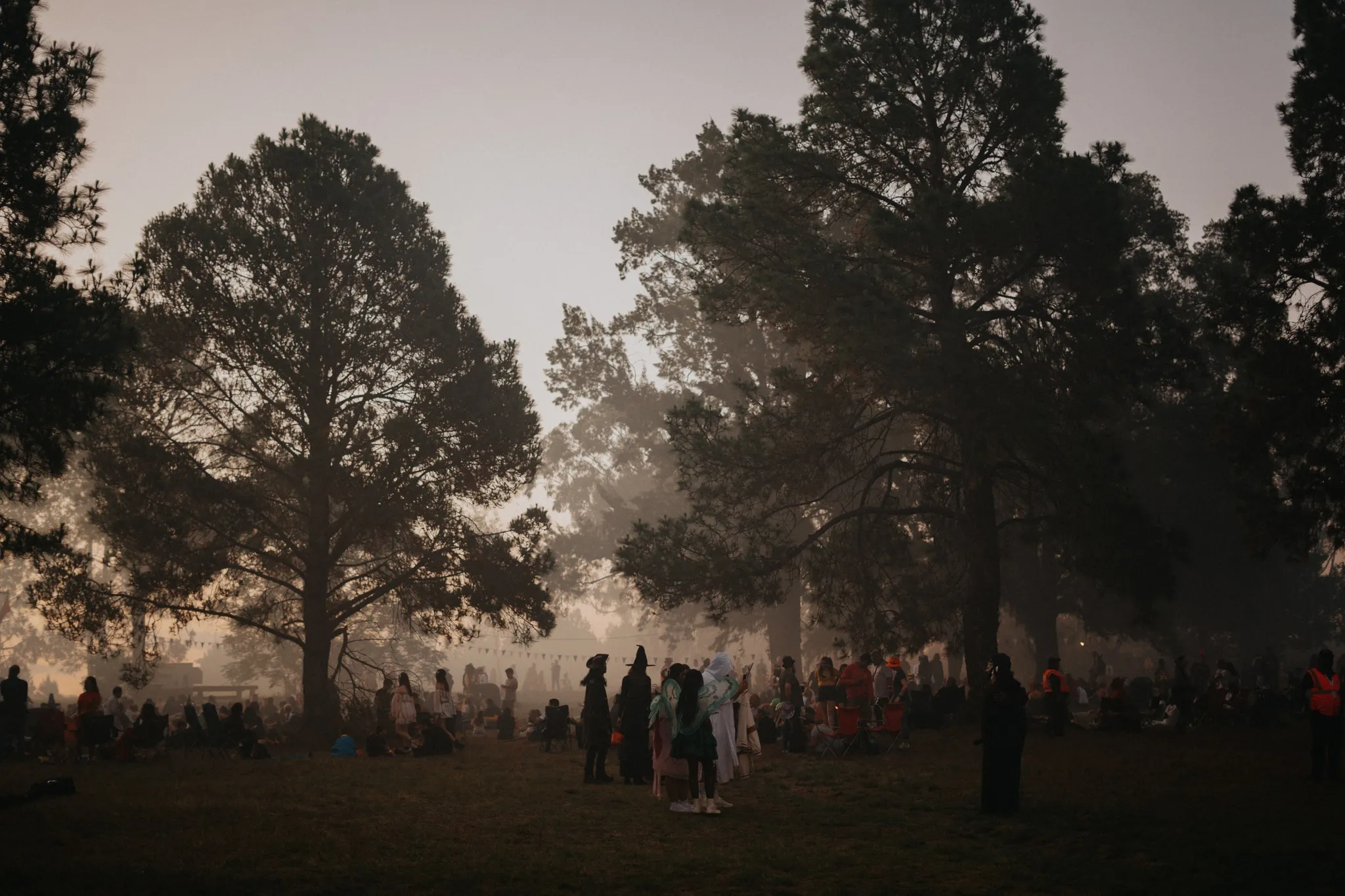 The Haunted Forest