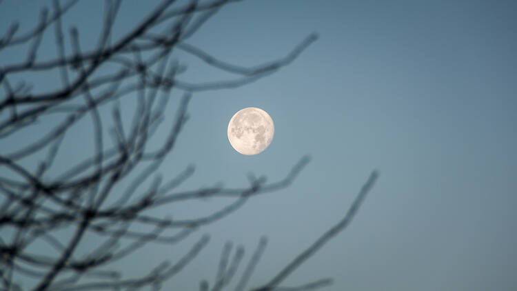 Supermoon, UK