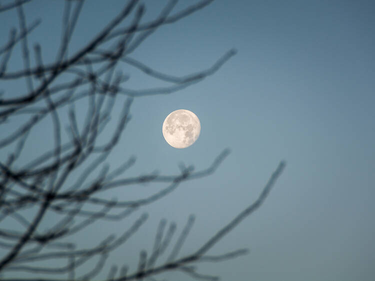 Two more supermoons will be visible in Britain in 2025: here’s when to see them