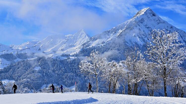 Cross-country skiing in a winter wonderland Cross-country skiing in a winter wonderland