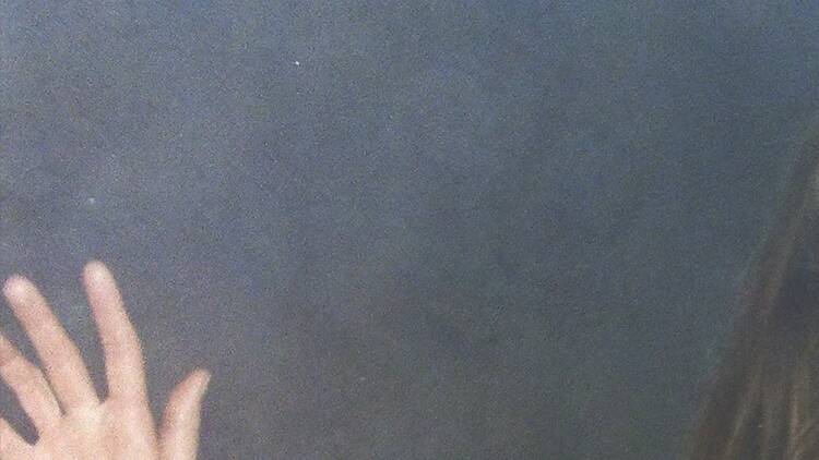 'Paraíso' 'Paraíso'