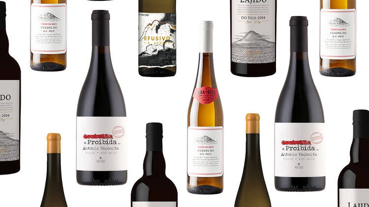 Vinhos da Ilha do Pico: um terroir fascinante no meio do Atlântico