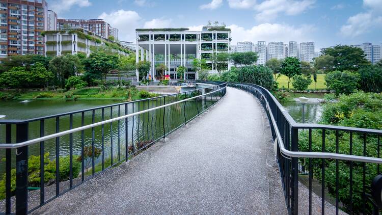 Punggol, Singapore. Feb 19, 2024. A well designed Oasis Terraces, wave bridge, walking path and waterway in Punggol, Singapore.