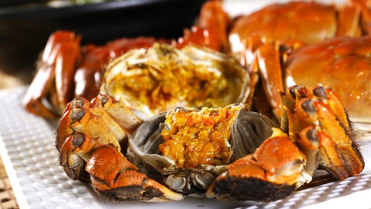大閘蟹推介2025