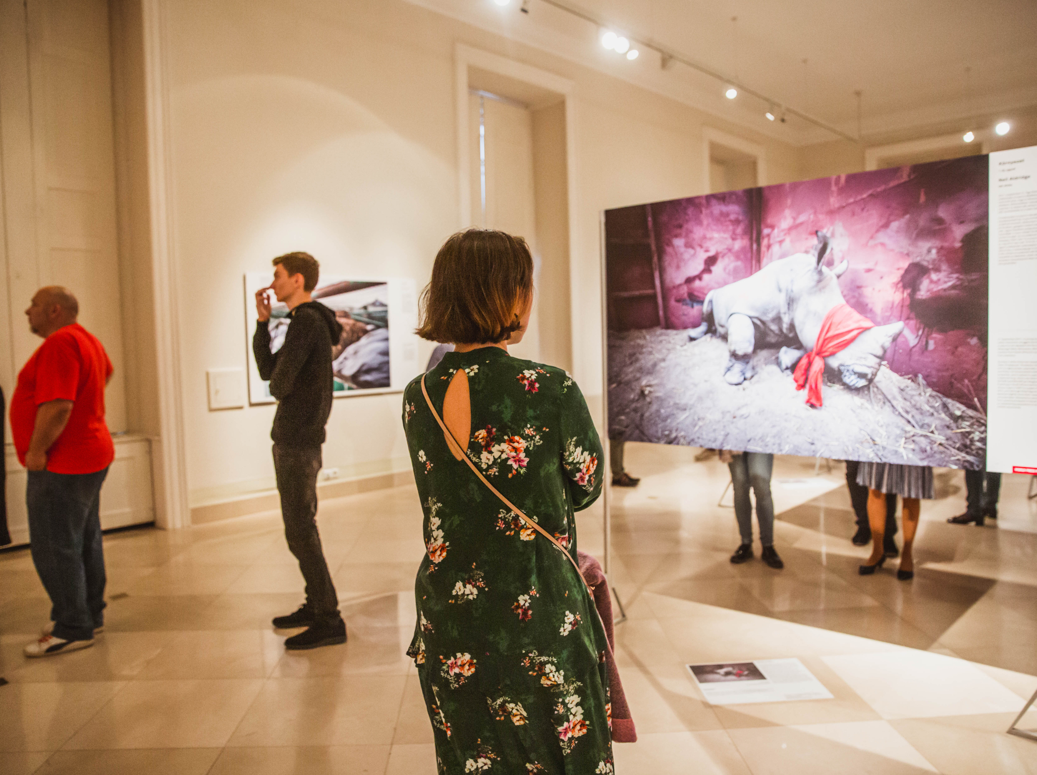 Magyar Nemzeti Múzeum | Múzeumok in Budapest