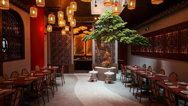 A dining room with birdcage lights and a tree near the rear