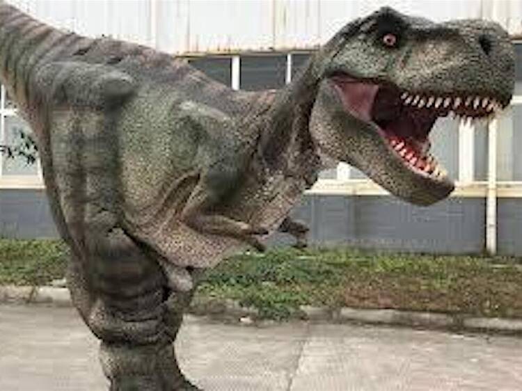Dino Day at the Market
