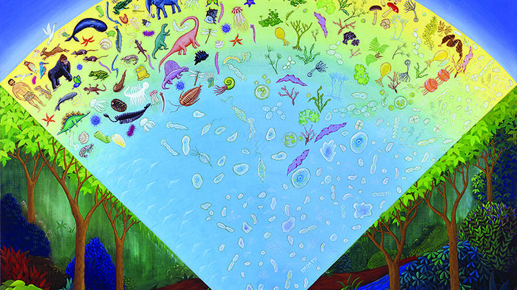 JT生命誌研究館