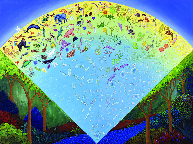 JT生命誌研究館