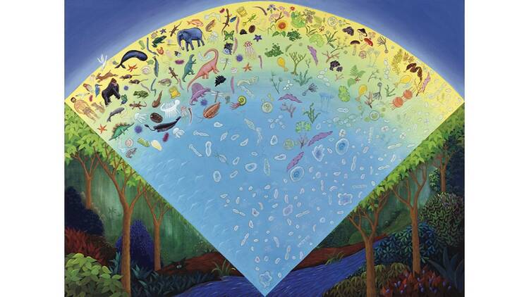 JT生命誌研究館