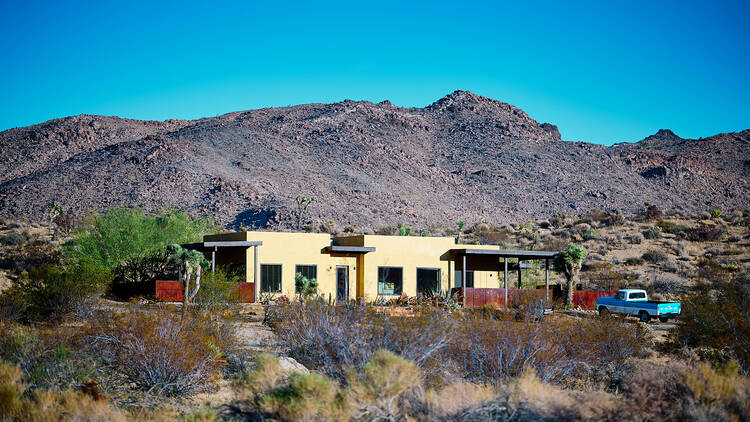 Lobo Luna at Sacred Sands, Joshua Tree