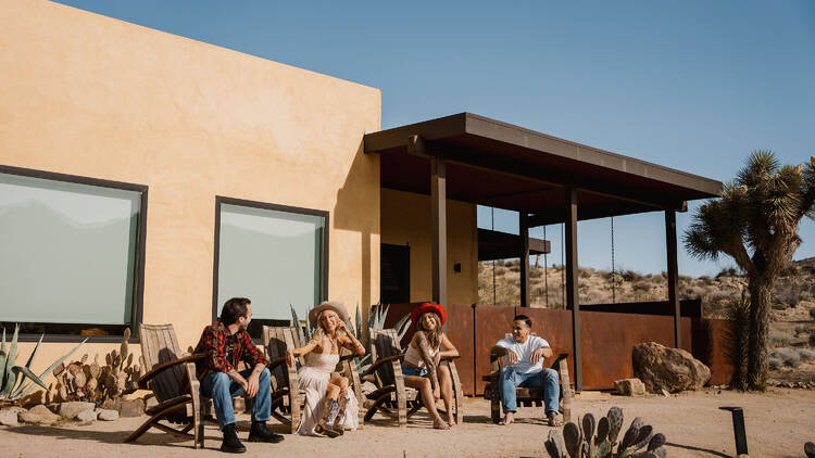 Lobo Luna at Sacred Sands, Joshua Tree