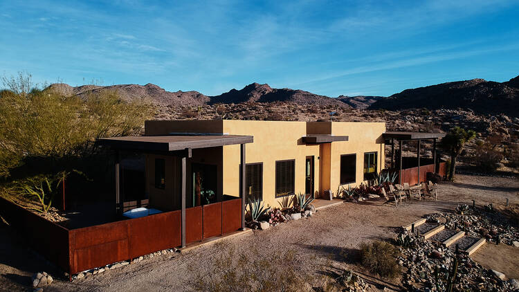 Lobo Luna at Sacred Sands, Joshua Tree