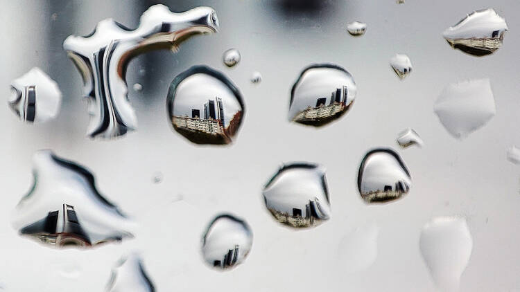 Fui sobre agua edificada (Museo de Historia).