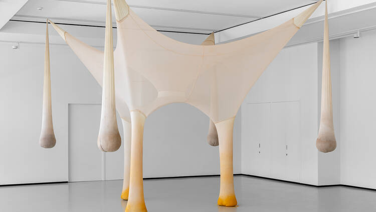 'Arquitetura Animal', Ernesto Neto (2001)