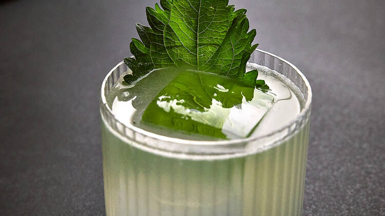 Midosuji (Photograph: Courtesy Midosuji/Nick Podraza)