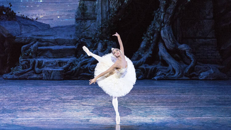 Swan Lake